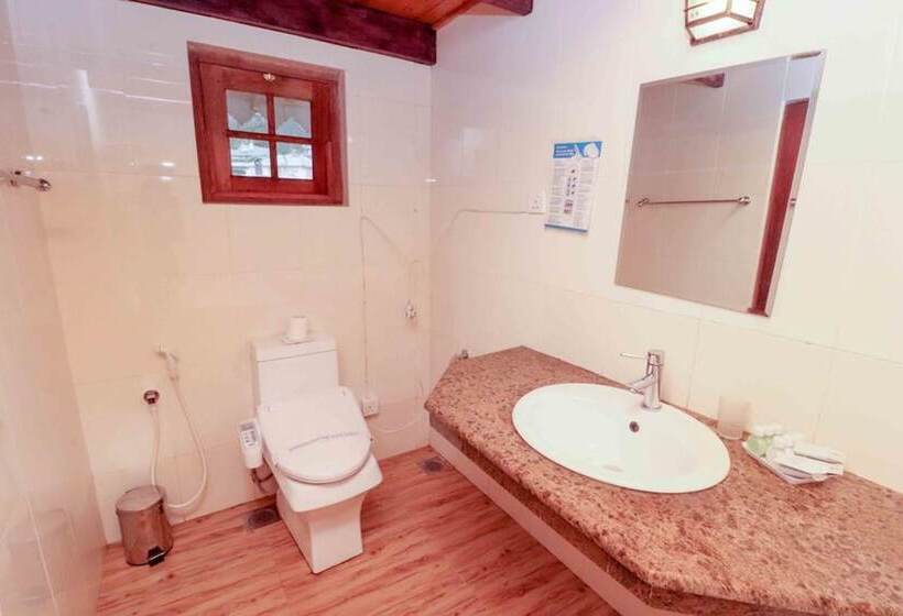 Fotos del hotel Alpine:  10