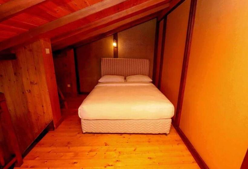 Fotos del hotel Alpine:  24