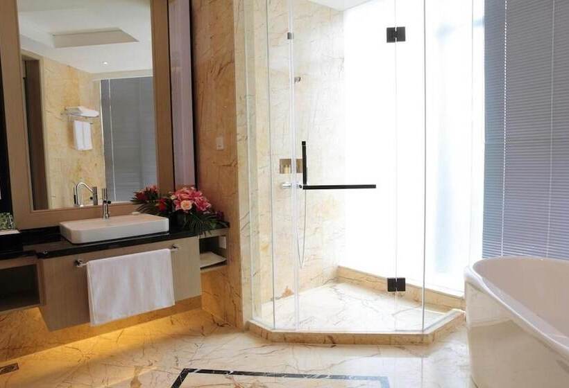 Fotos del hotel Metropolo Shanghai Changzhong Road:  8