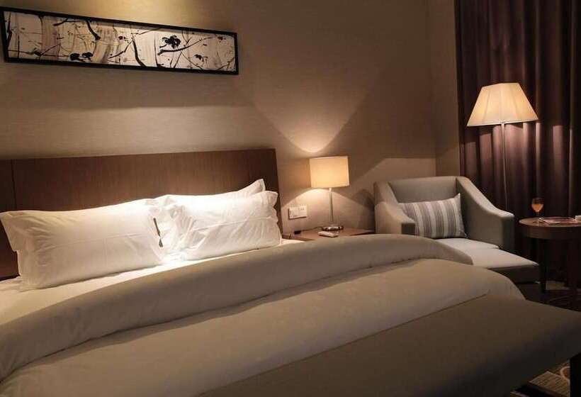 Fotos del hotel Metropolo Shanghai Changzhong Road:  9