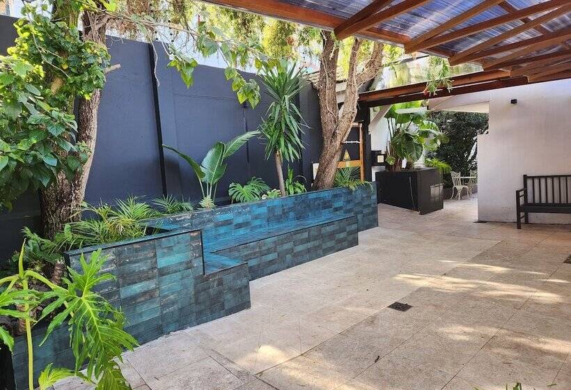 Fotos del hotel Little Scotia Urban:  14