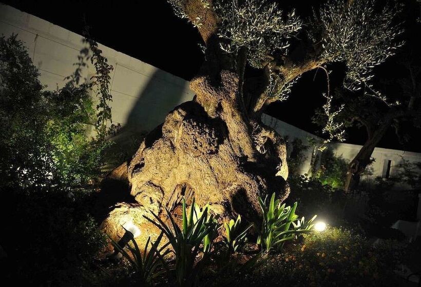 Fotos del hotel Masseria Santa Teresa:  6