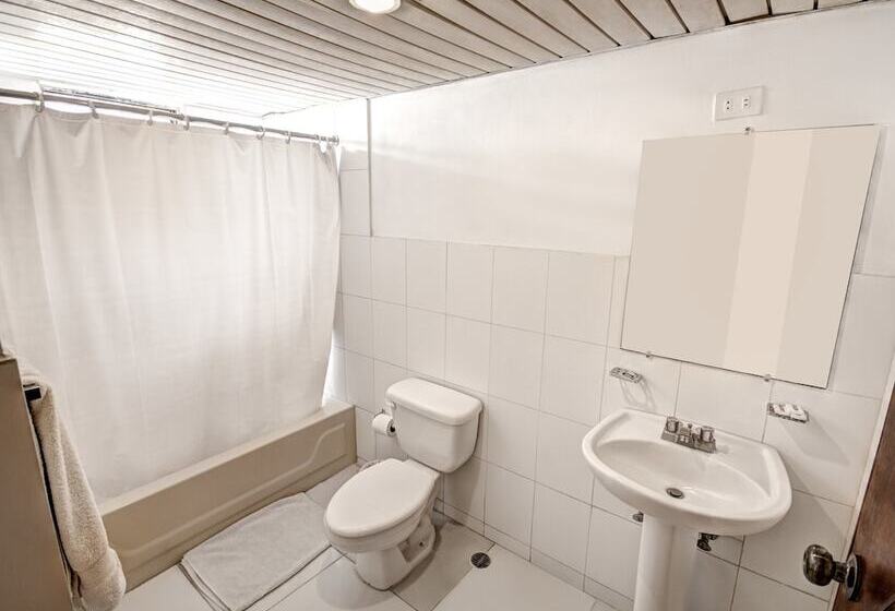 Fotos del hotel Apart Plaza Colonial:  8