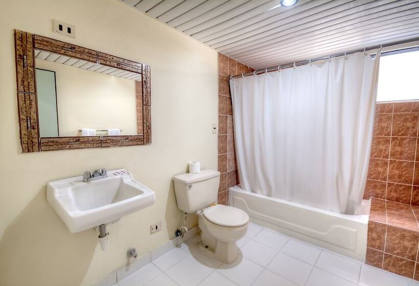 Fotos del hotel Apart Plaza Colonial:  10