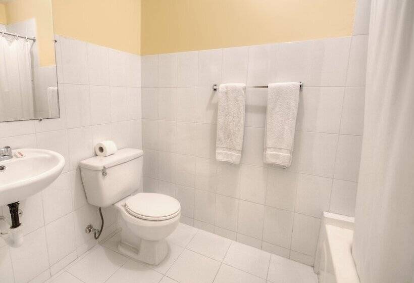 Fotos del hotel Apart Plaza Colonial:  12