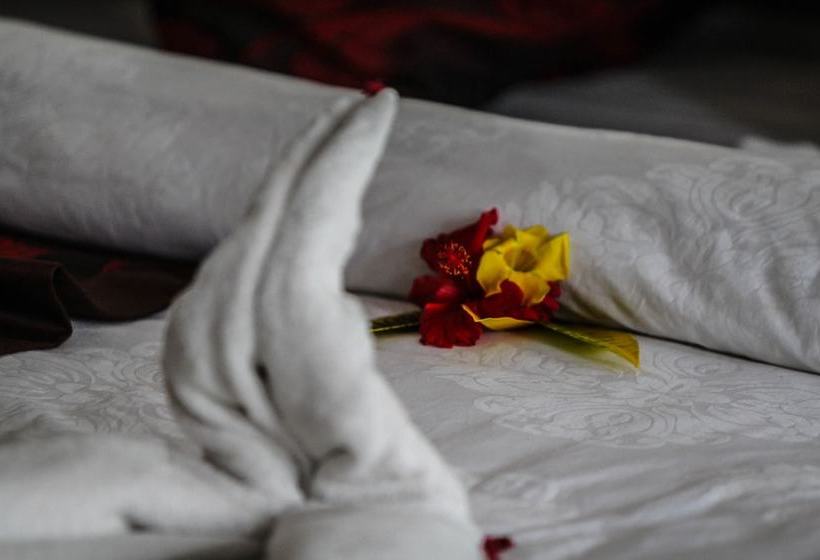 Fotos del hotel Mazsons:  3