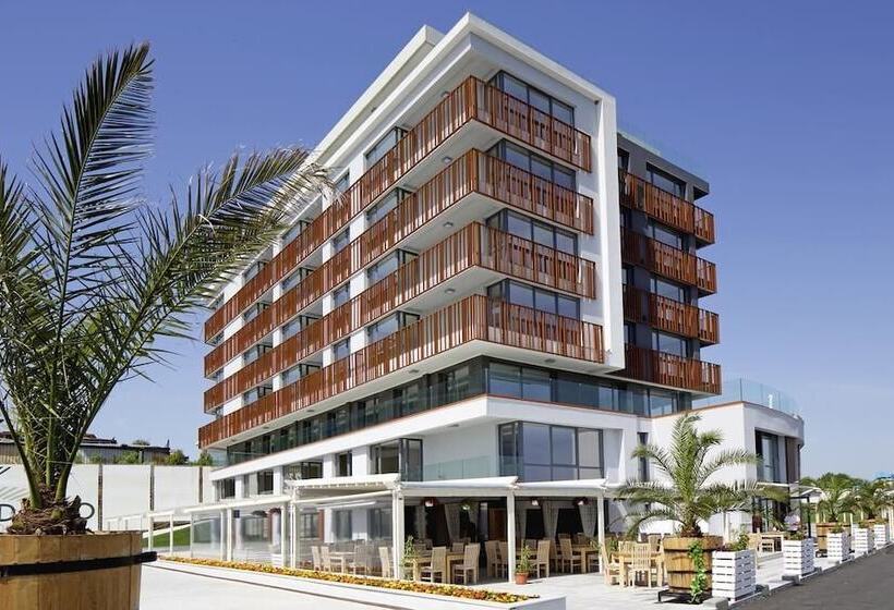 Fotos del hotel Aparthotel Paradiso:  17