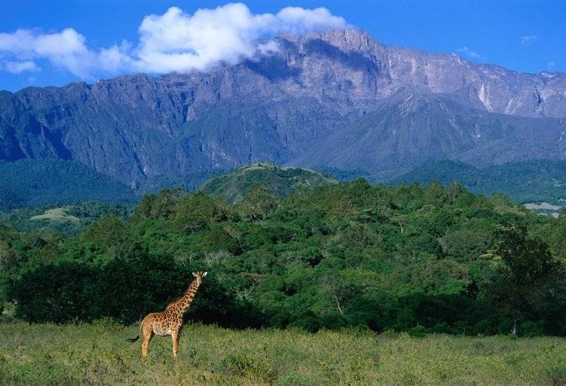 Fotos del hotel Elewana Arusha Coffee Lodge:  7