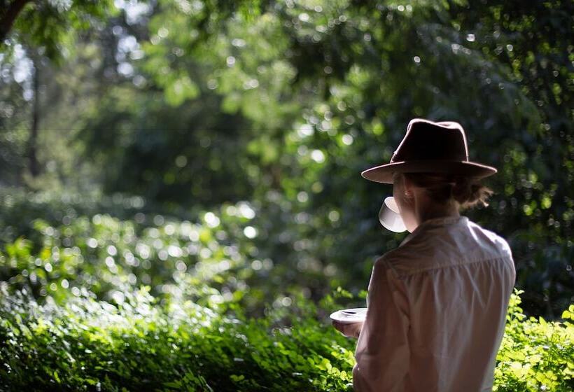 Fotos del hotel Elewana Arusha Coffee Lodge:  8