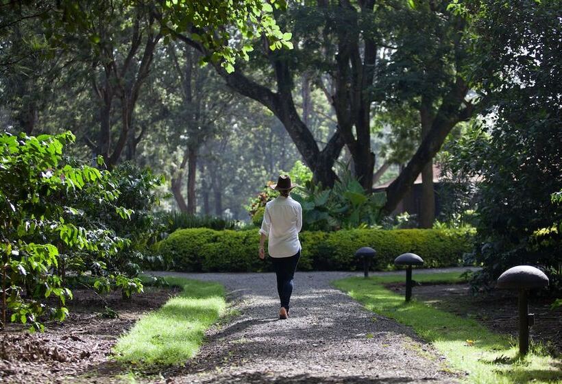 Fotos del hotel Elewana Arusha Coffee Lodge:  9