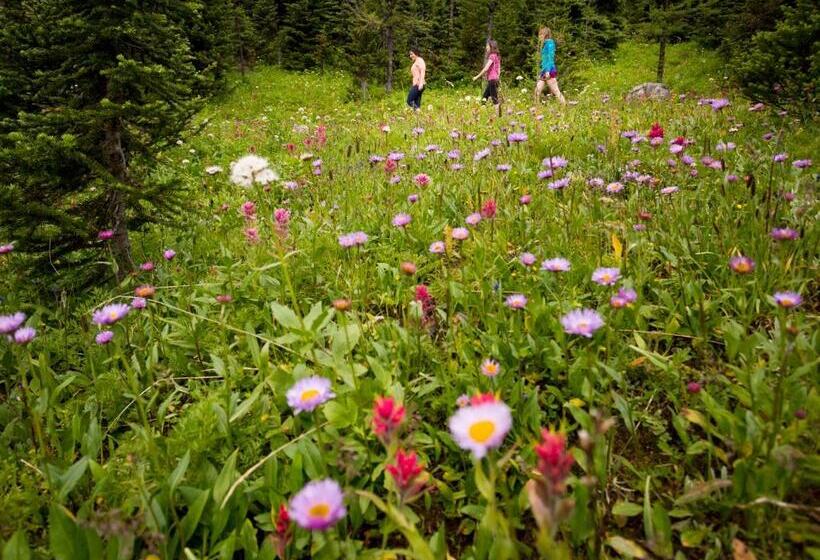 Fotos del hotel Sunshine Mountain Lodge:  2