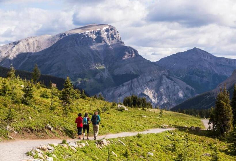 Fotos del hotel Sunshine Mountain Lodge:  22