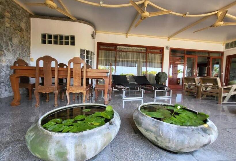 Fotos del hotel Bougainvillea Terrace House:  4