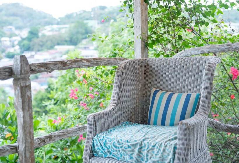 Fotos del hotel Selini On The Hill Villas:  13