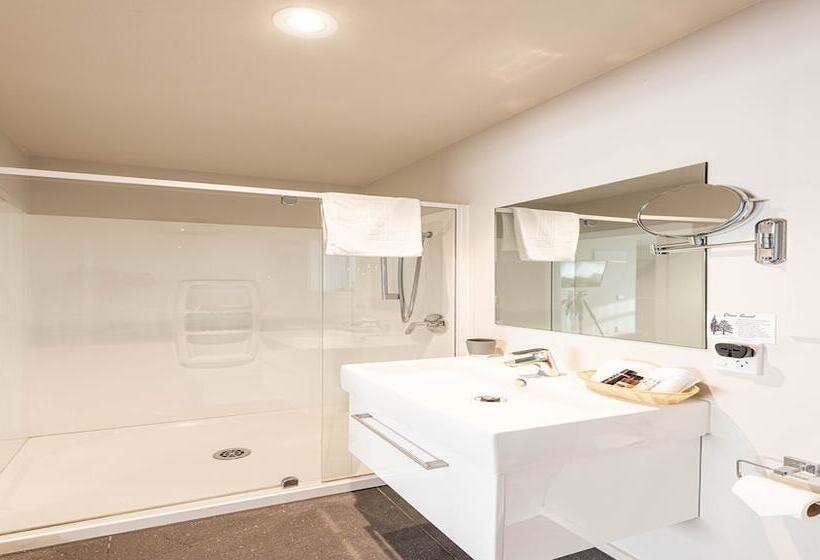 Fotos del hotel 311 Motel Riccarton:  3