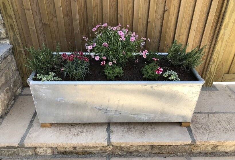 Fotos del hotel Camerton Inn Cottage:  5