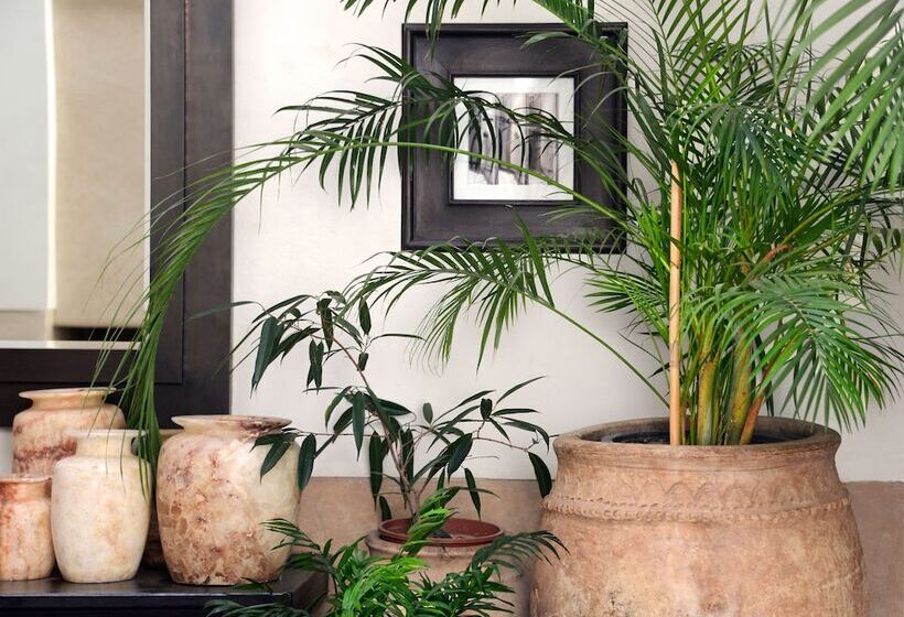 Fotos del hotel Dar Housnia:  19