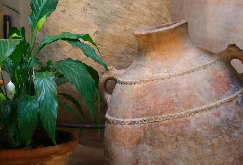 Fotos del hotel Dar Housnia:  5