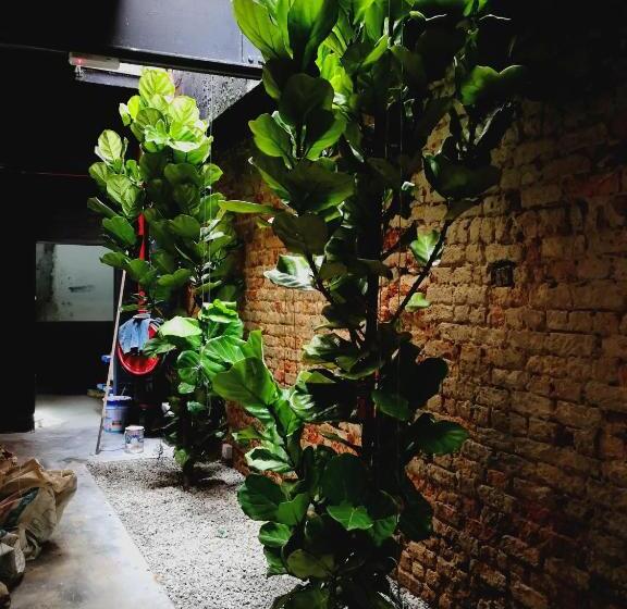 Fotos del hotel Tian Jing:  22