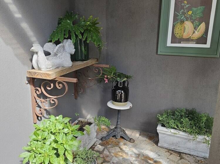 Fotos del hotel Baruch Guesthouse On Lovell:  5