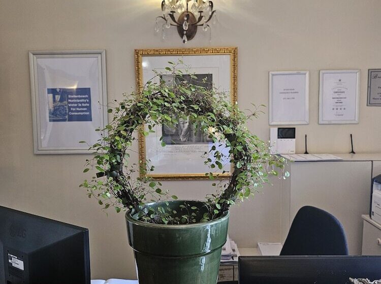 Fotos del hotel Baruch Guesthouse On Lovell:  25