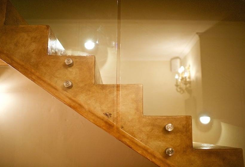 Fotos del hotel Baruch Guesthouse On Lovell:  19