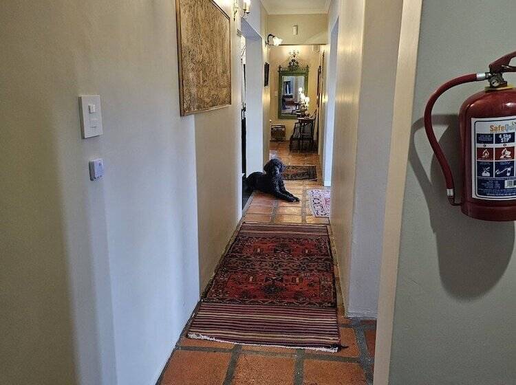 Fotos del hotel Baruch Guesthouse On Lovell:  22