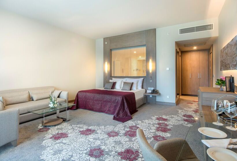 Fotos del hotel Concorde Luxury Resort & Casino & Convention & Spa:  337