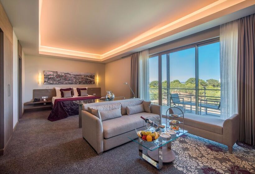 Fotos del hotel Concorde Luxury Resort & Casino & Convention & Spa:  113