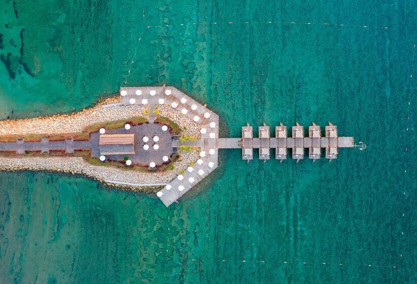 Fotos del hotel Concorde Luxury Resort & Casino & Convention & Spa:  446