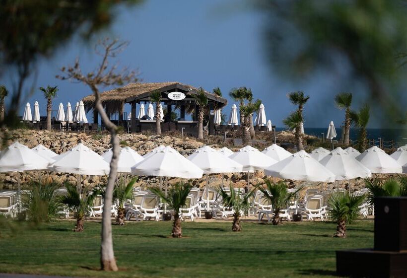 Fotos del hotel Concorde Luxury Resort & Casino & Convention & Spa:  136