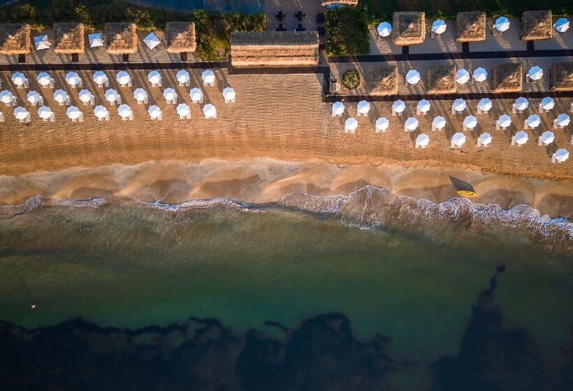 Fotos del hotel Concorde Luxury Resort & Casino & Convention & Spa:  434