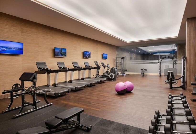 Fotos del hotel Concorde Luxury Resort & Casino & Convention & Spa:  461