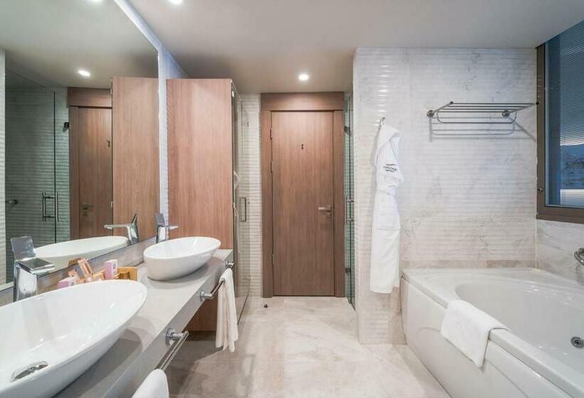 Fotos del hotel Concorde Luxury Resort & Casino & Convention & Spa:  496