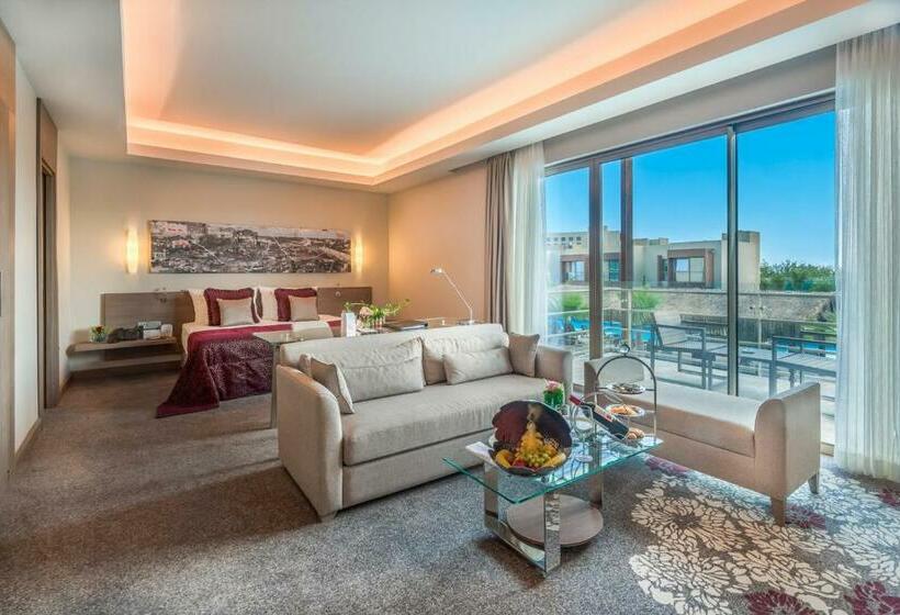 Fotos del hotel Concorde Luxury Resort & Casino & Convention & Spa:  478