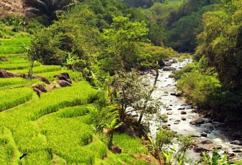 Fotos del hotel D'riam Riverside Resort:  4