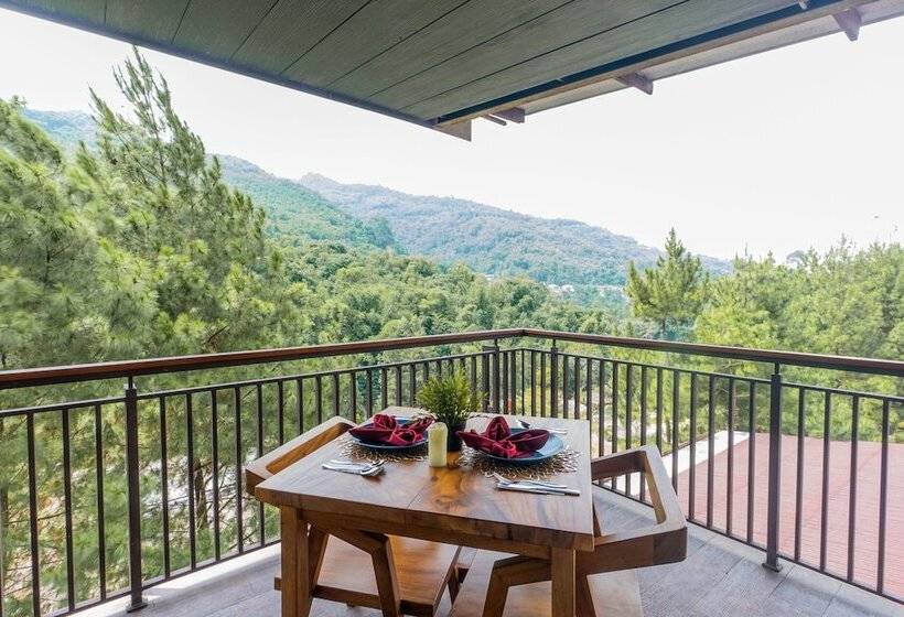 Fotos del hotel D'riam Riverside Resort:  7