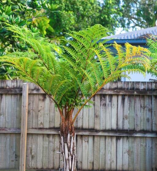 Fotos del hotel Uyoung Diving Resort:  17