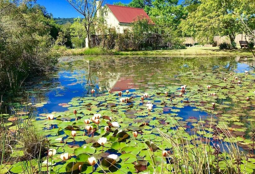 Fotos del hotel Forest Edge:  20