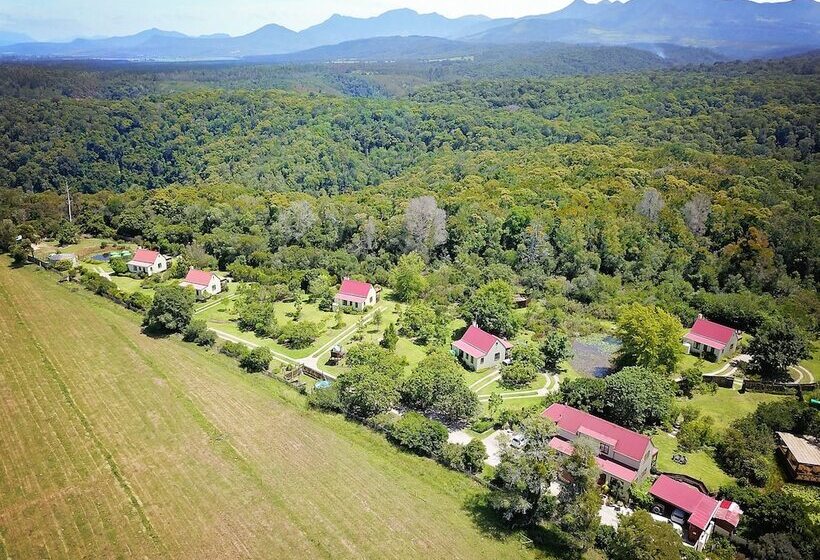 Fotos del hotel Forest Edge:  9