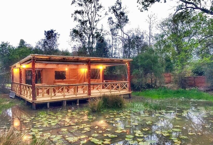 Fotos del hotel Forest Edge:  21