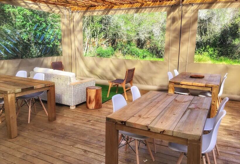 Fotos del hotel Forest Edge:  6