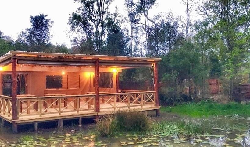 Fotos del hotel Forest Edge:  2