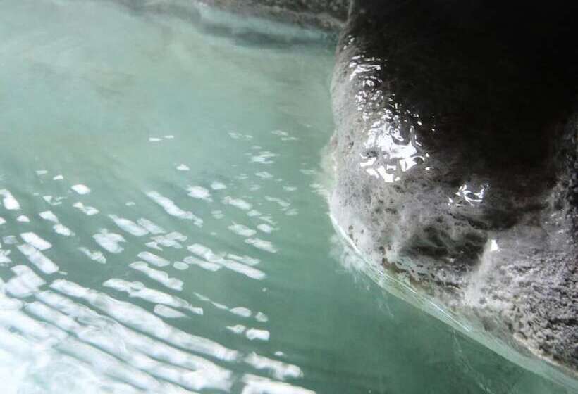 Fotos del hotel Grace Hakuba:  15