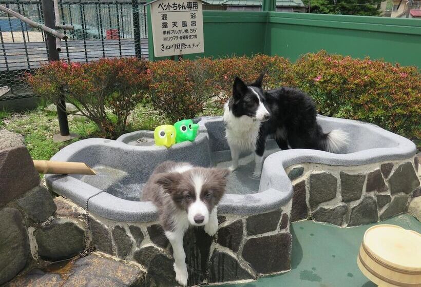 Fotos del hotel Kinugawa Kokusai:  10