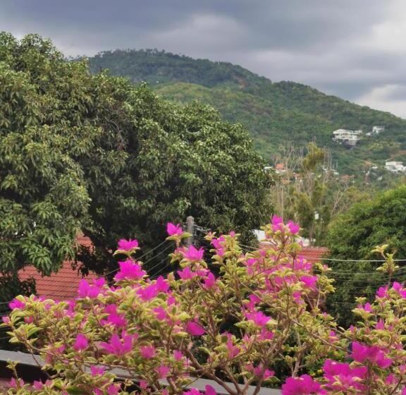 Fotos del hotel Samui Platinum:  6