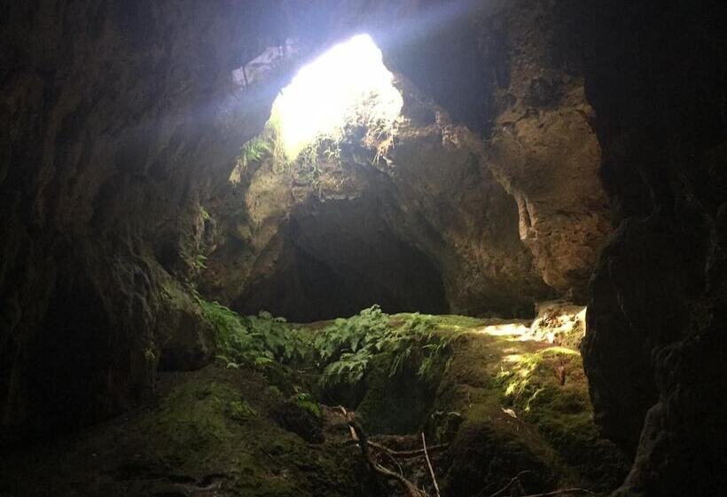 Fotos del hotel House Of Tonga:  21