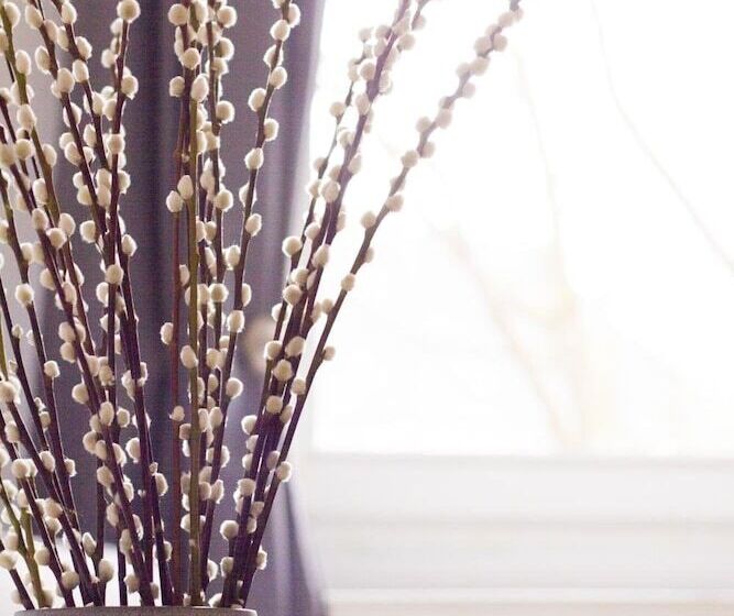 Fotos del hotel Tm Suites:  17