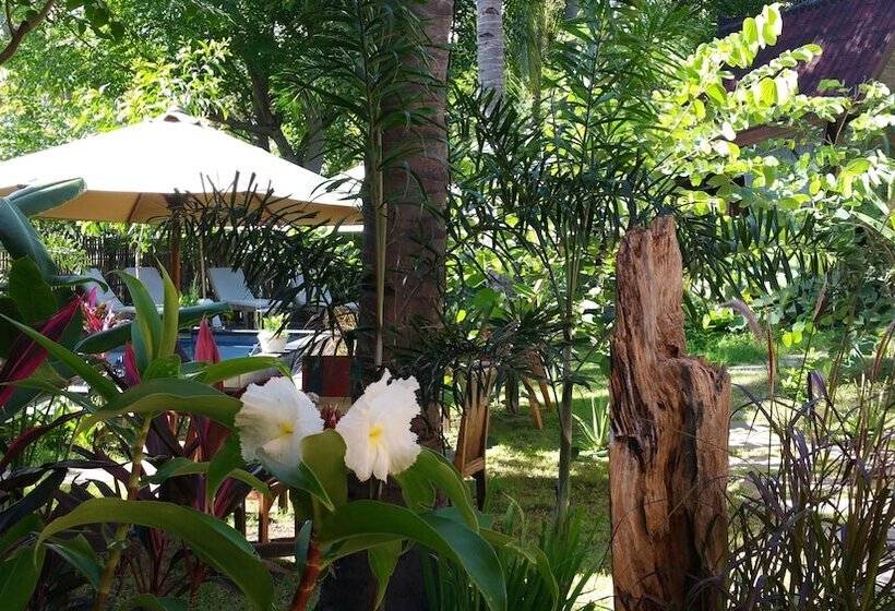 Fotos del hotel Villas Light House:  8