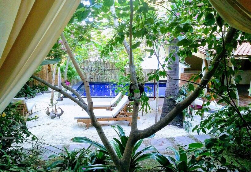 Fotos del hotel Villas Light House:  14